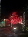 Kids_X-MasEve_2021-12 (9)